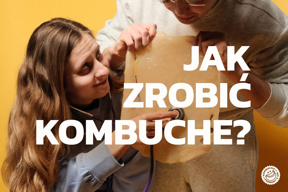 Jak zacząć produkować kombuchę w domu?