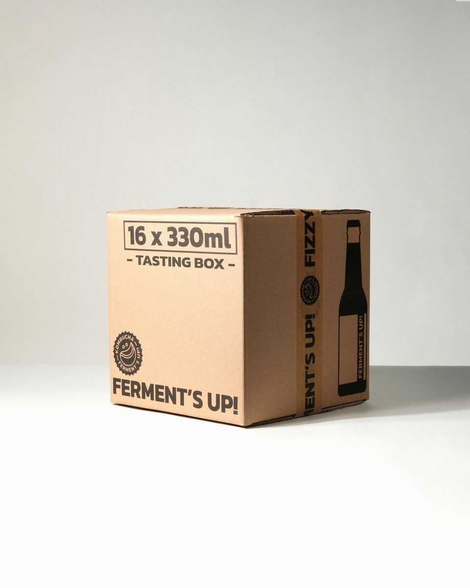 Niepasteryzowana Kombucha Ferment's Up! Tasting BOX KARTON 16 330ml